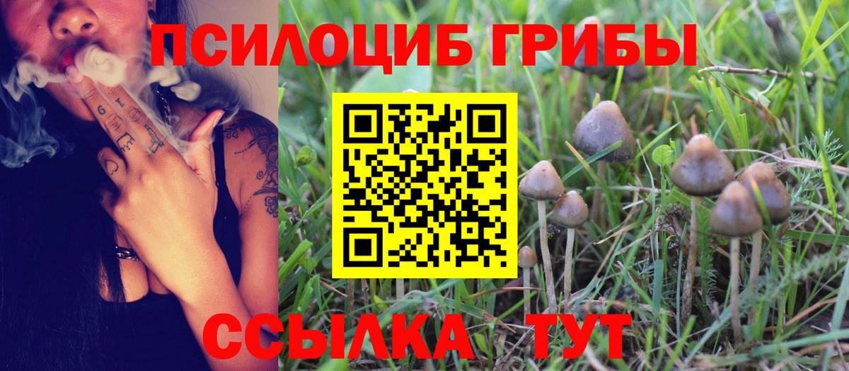 наркотики  Галлюциногенные грибы Cubensis  Дзержинский  Галлюциногенные грибы GOLDEN TEACHER 