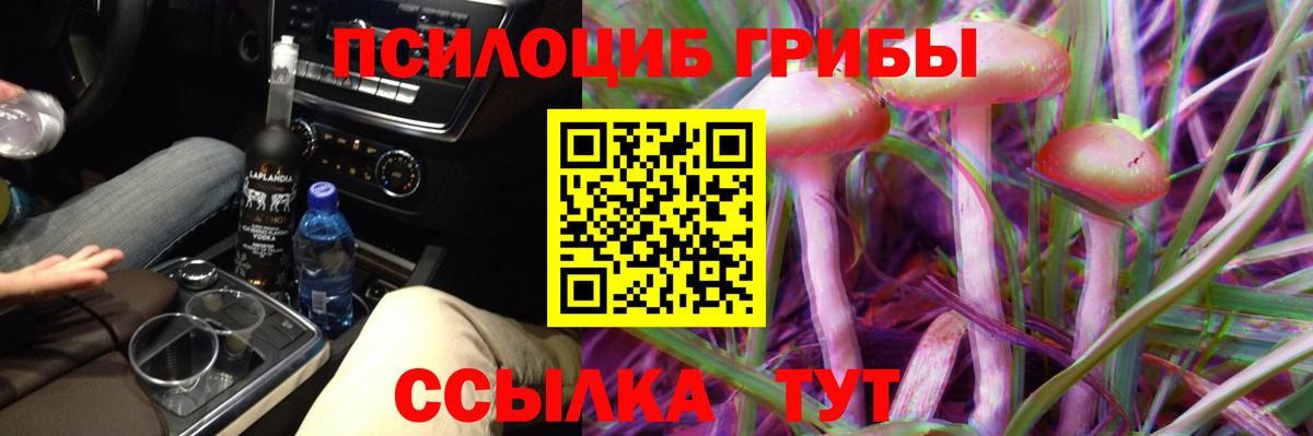 Галлюциногенные грибы Psilocybine cubensis  Вход с VPN  как найти наркотики  Дзержинский 